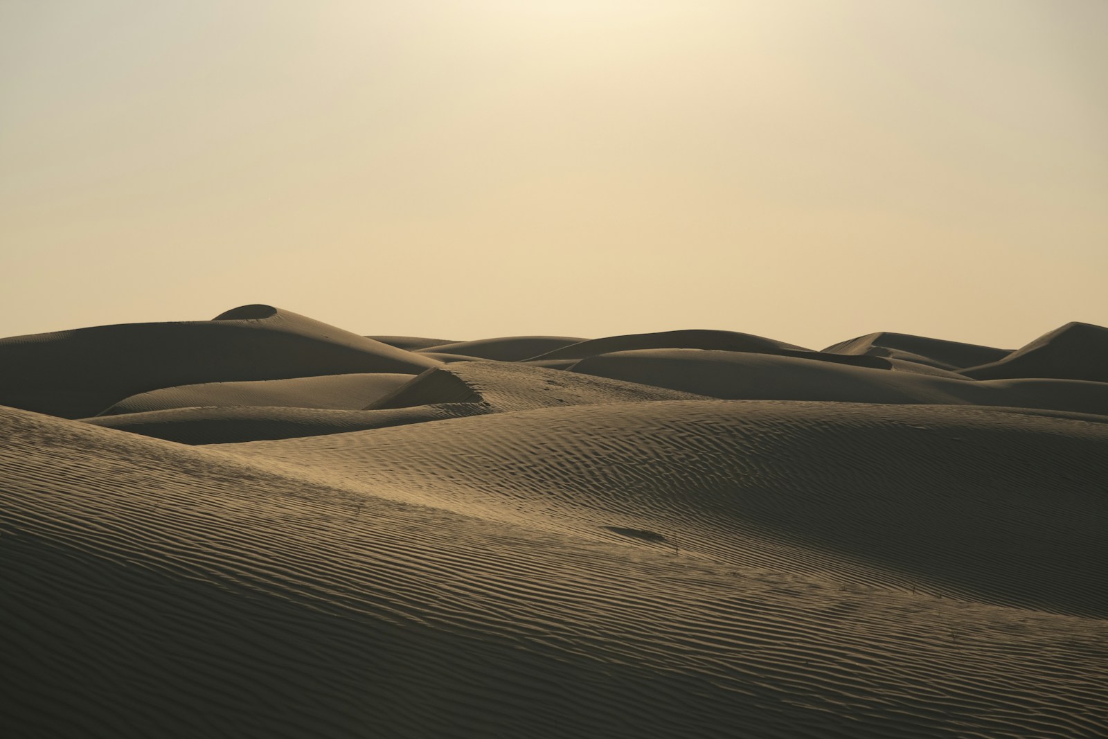 Sculptural desert dunes in warm sunlight